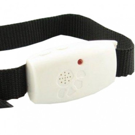 Ошейник от блох и клещей «PGT-041» Ошейник от блох и клещей «PGT-041»